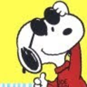 Meet your Posher, Joe